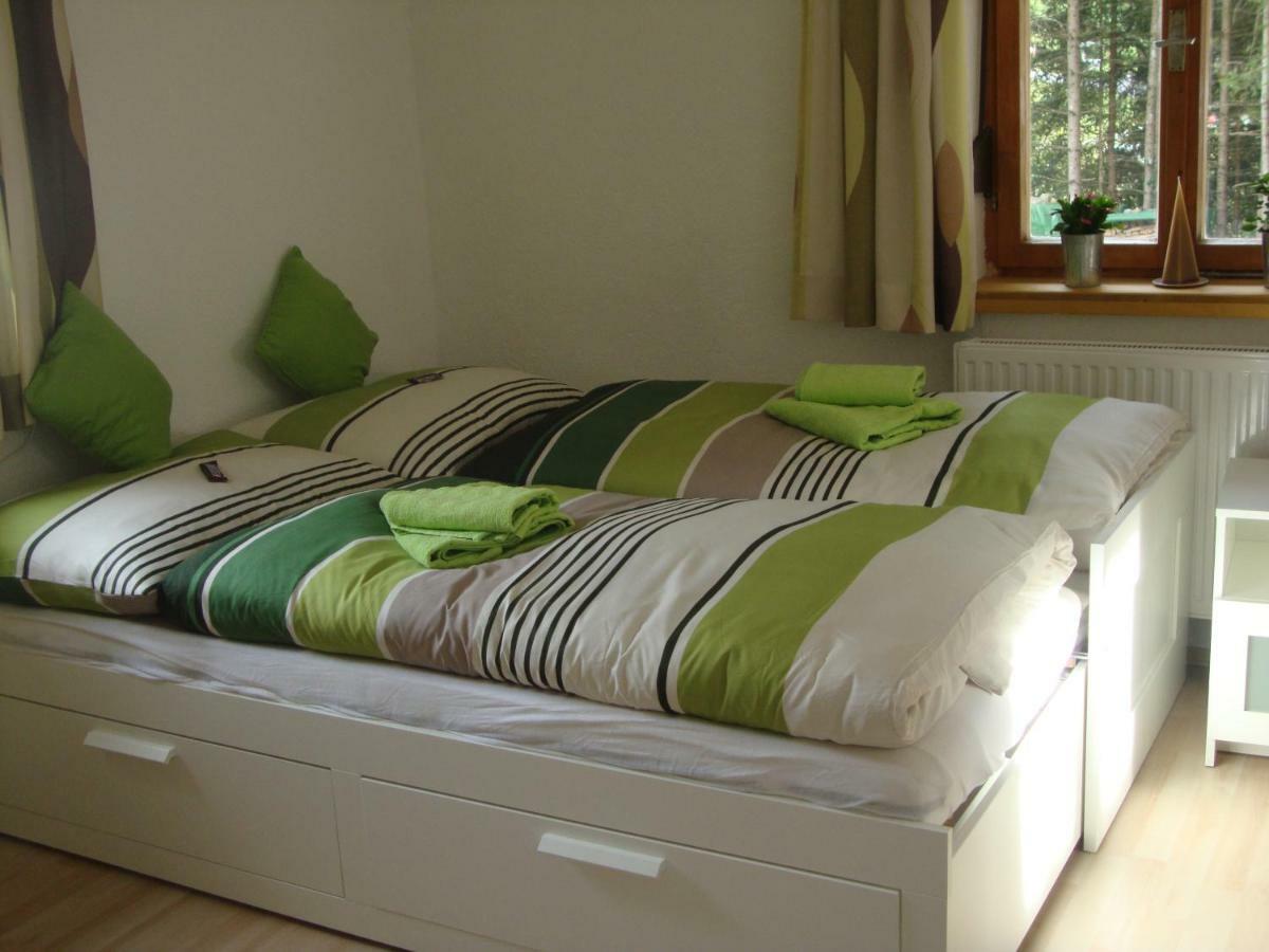 זלריין Ferienwohnung Viola מראה חיצוני תמונה